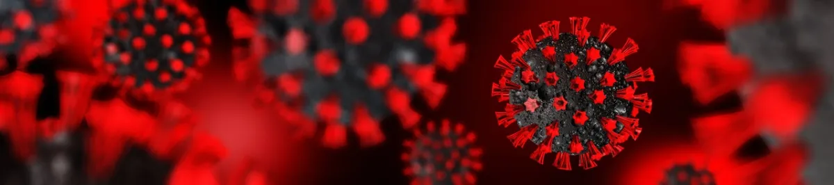 صورة لفيروس الحصبة