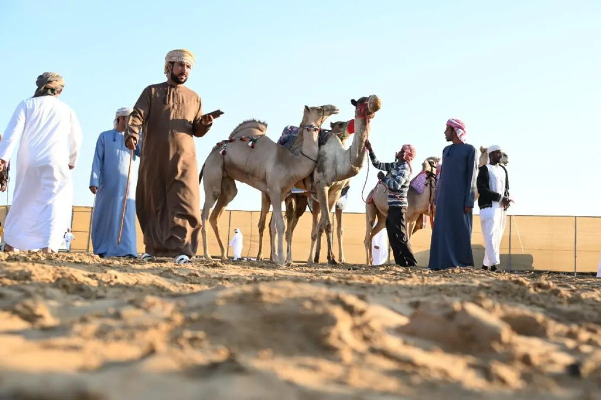 10 جوائز قيمة. الصورة من "وام"