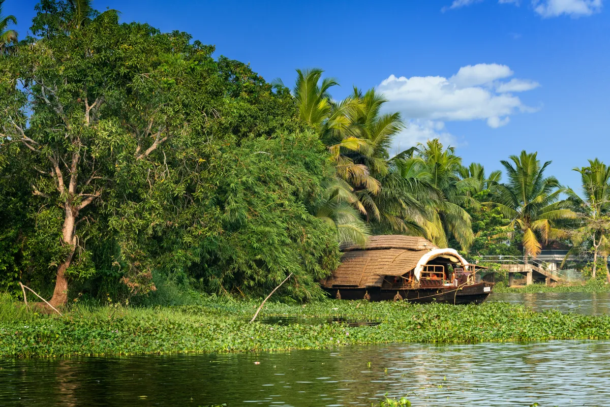 متعة السفر إلى كيرالا