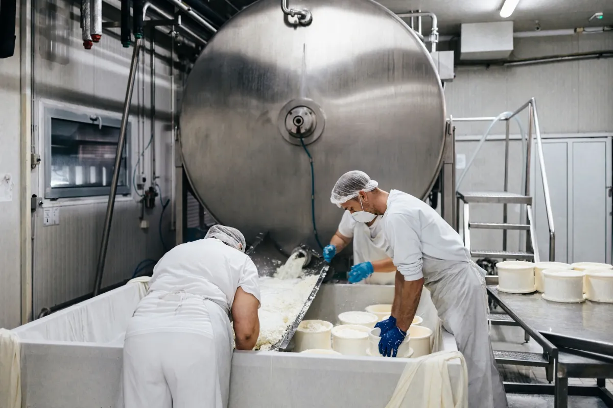 تلعب العديد من العوامل المتعلقة بالتصنيع والظروف البيئية دوراً مهماً في سلامة الأقط (المصدر: Adobe .Stock)