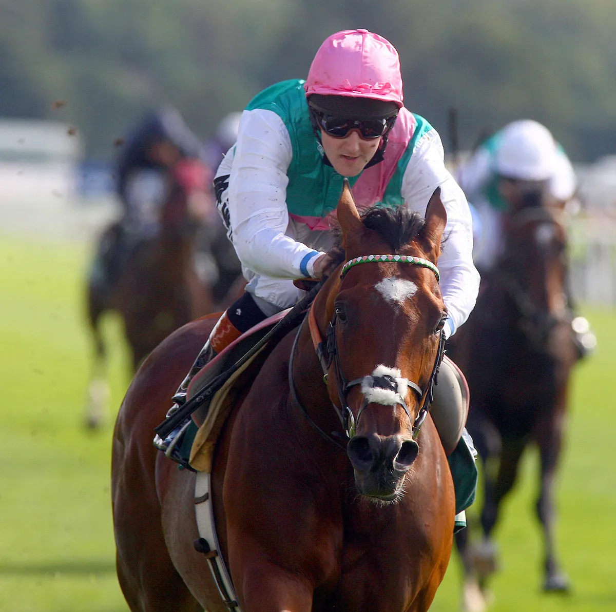  تأتي النسخة الثانية من الكأس تقديراً لمسيرته في مختلِف مضامير الخيل الدولية