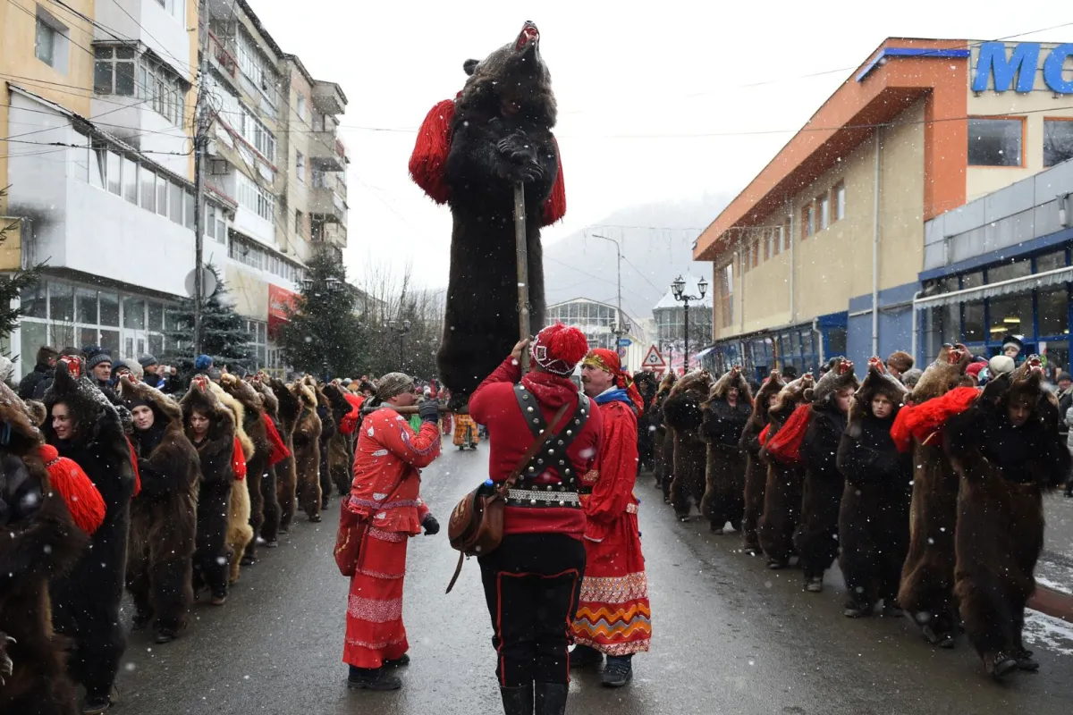 مهرجان الدببه رومانيا