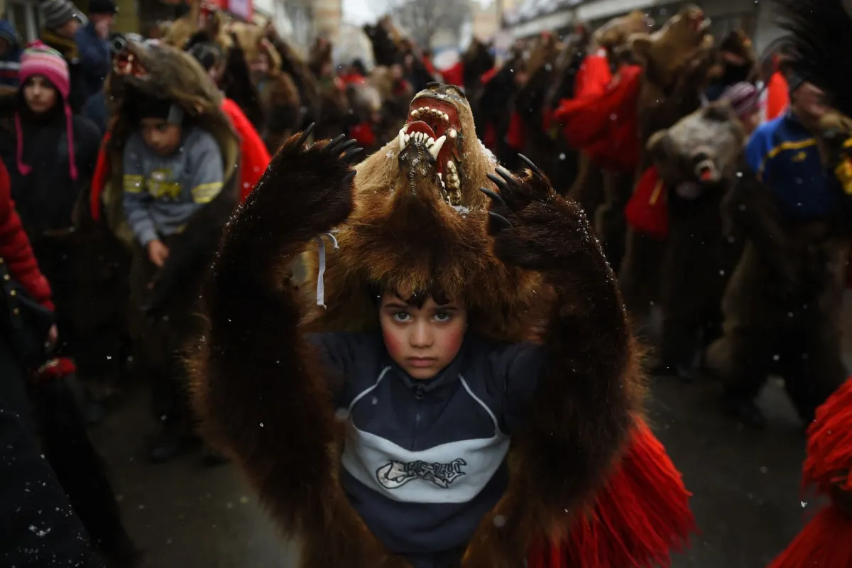 مهرجان الدببه رومانيا