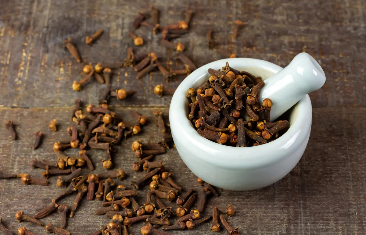 فوائد القرنفل للصدر