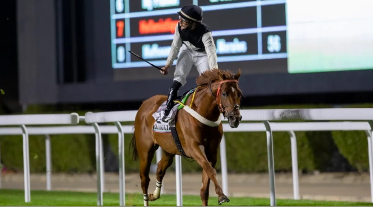 تم تتويج الحصان "ستار أوف ونز" بالنسخة الأولى. الصورة من العلاقات العامة