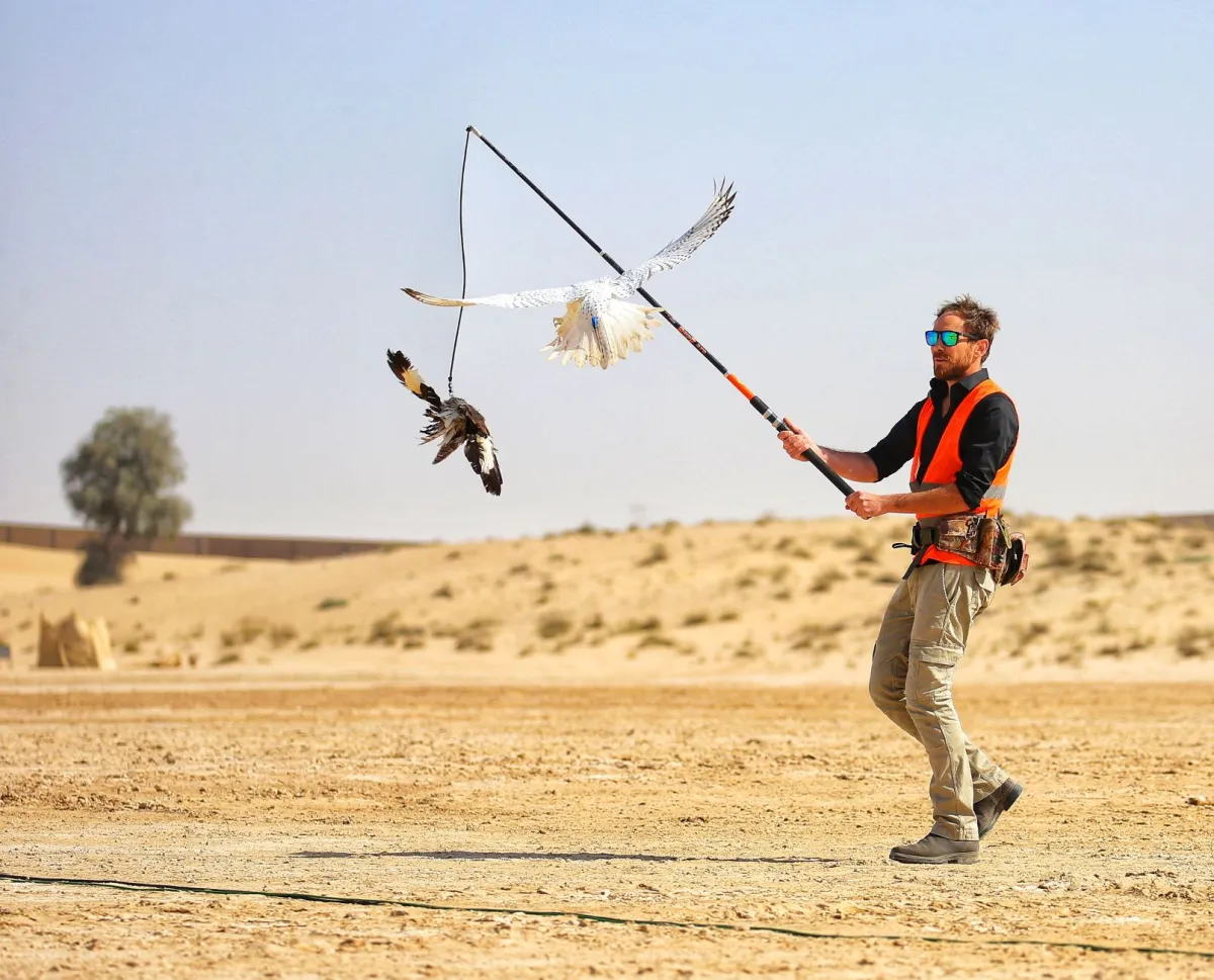 بطولة فزاع للصيد بالصقور-الصورة من مركز حمدان بن محمد لإحياء التراث 