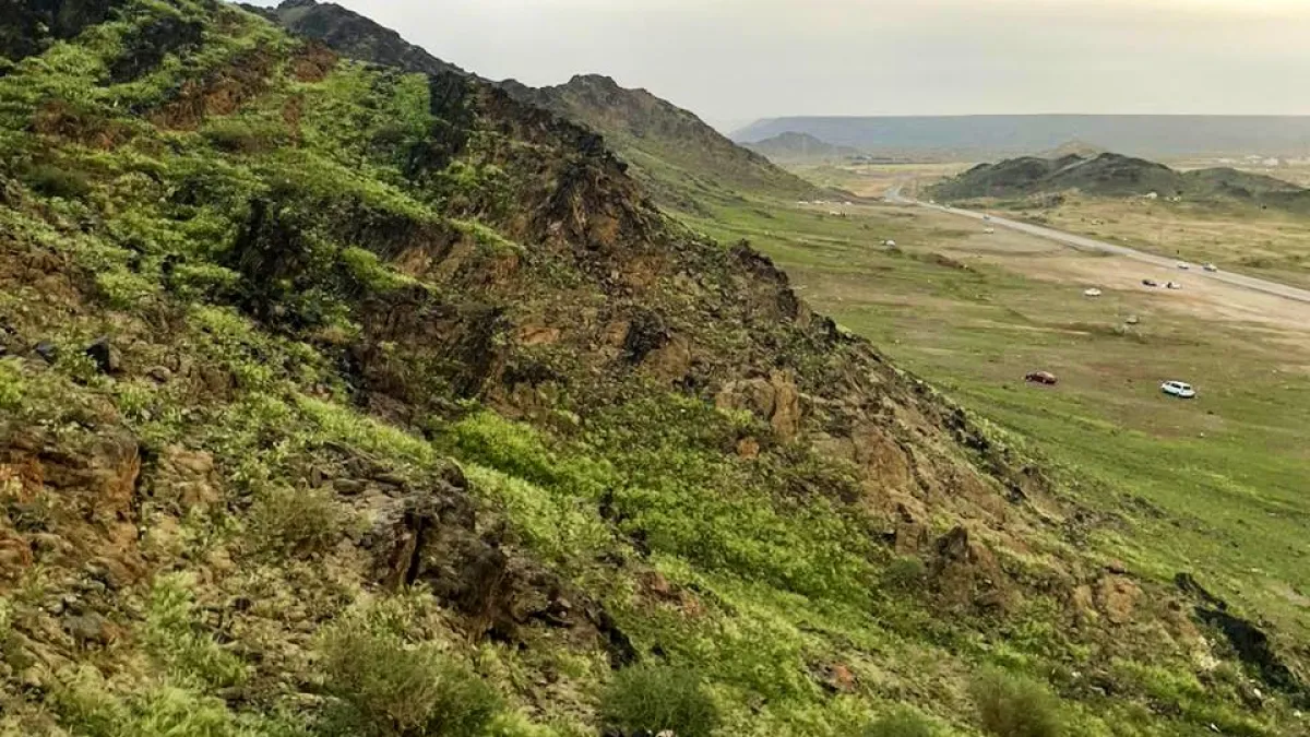 جبال مكة المكرمة تكتسي باللون الأخضر - الصورة من حساب أمانة العاصمة المقدسة للمصورة هلا الحربي