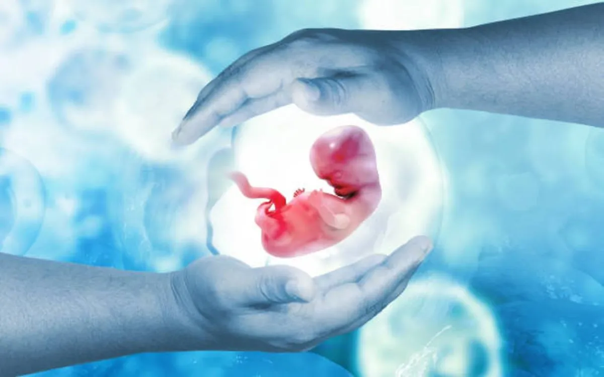 صورة تعبر عن الجنين وصغره في الرحم