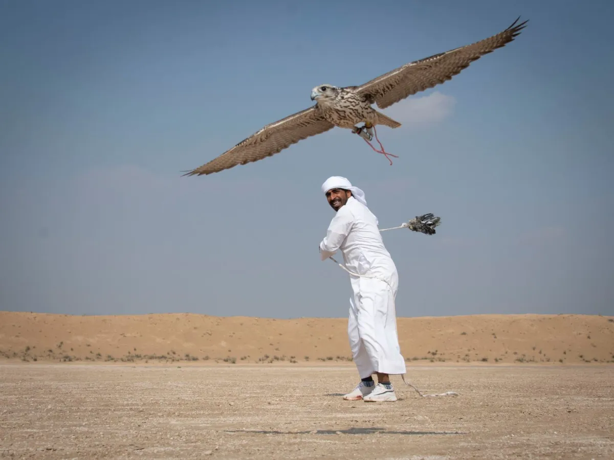 بطولة فزاع للصيد بالصقور- الصورة من مركز حمدان بن محمد لإحياء التراث 