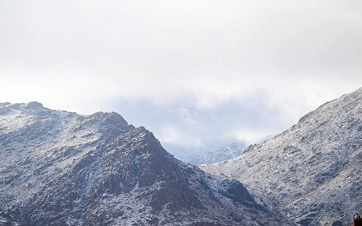 الثلوج تكسو جبل اللوز. الصورة من "واس"