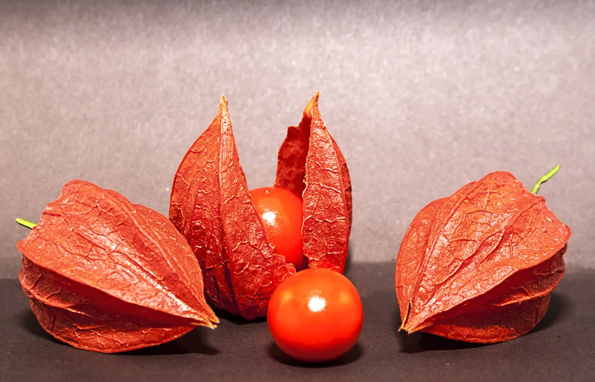 أضرار الاشواجندا