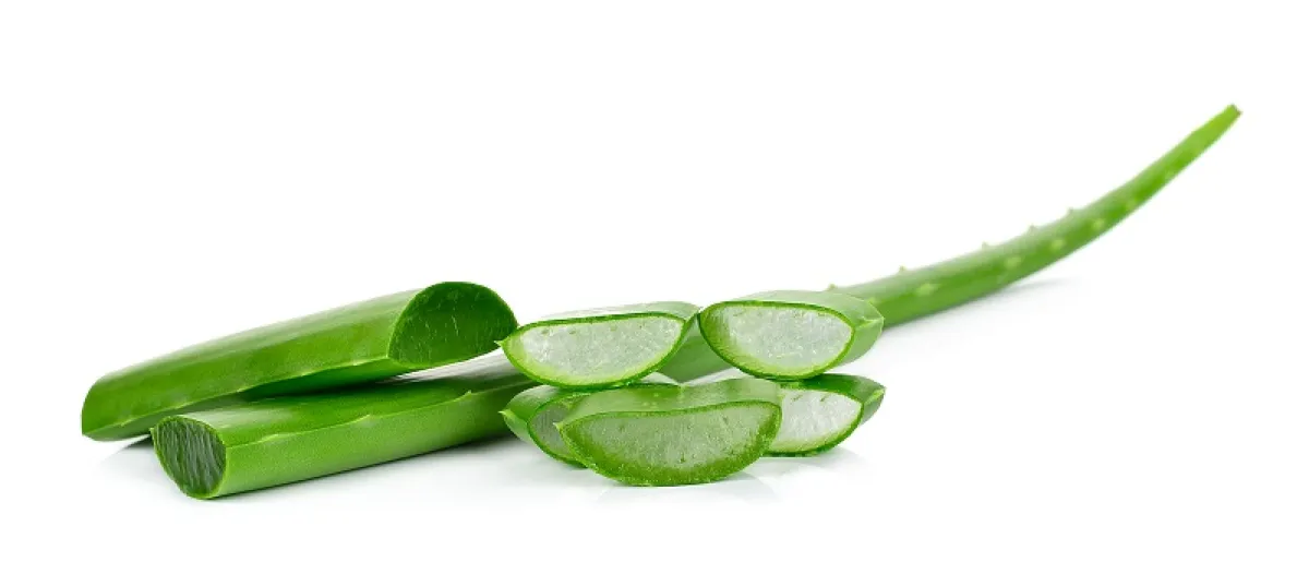 خلطات طبيعية للشعر