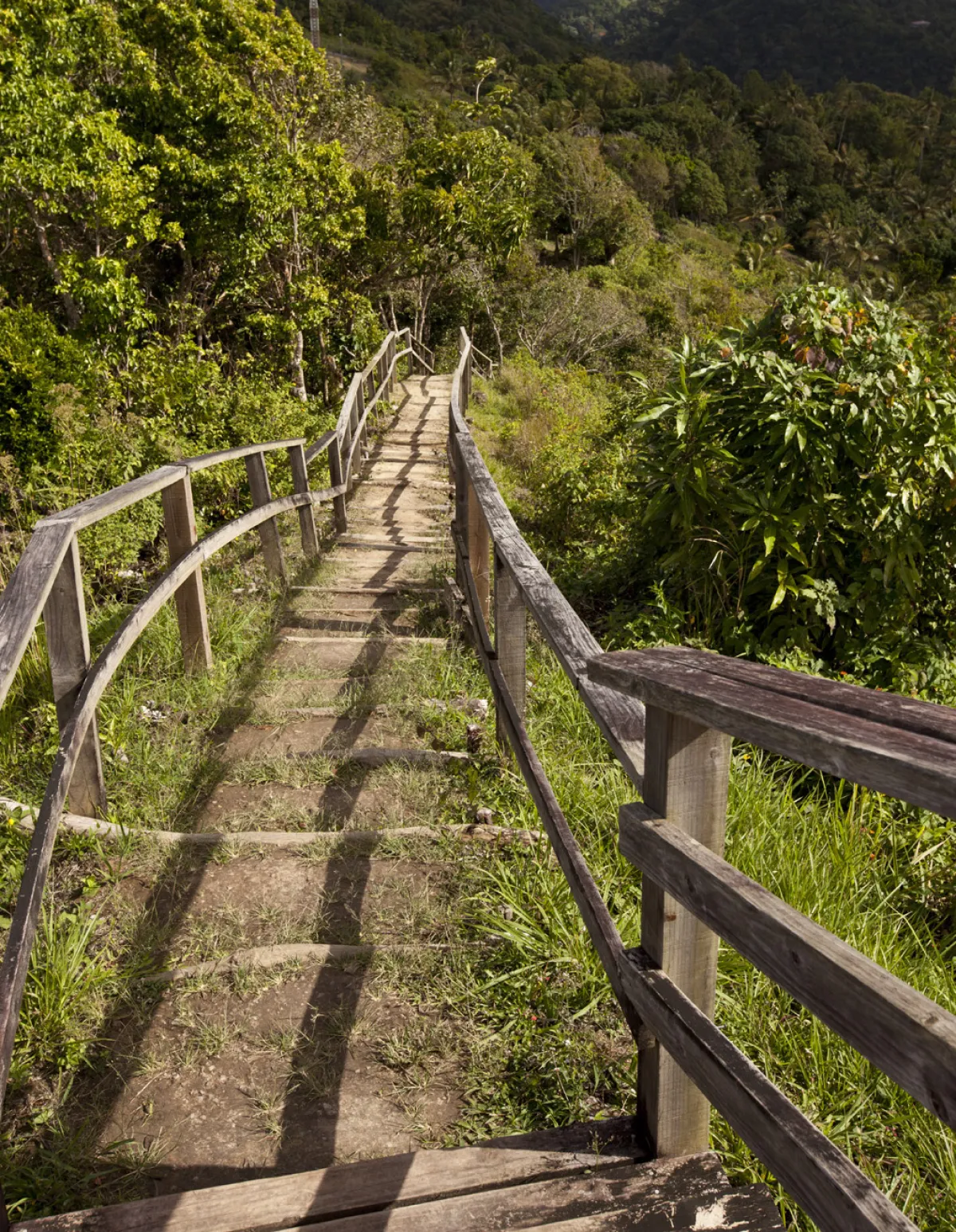 المشي لمسافات طويلة في «تيت بول ناتشر تريل» 