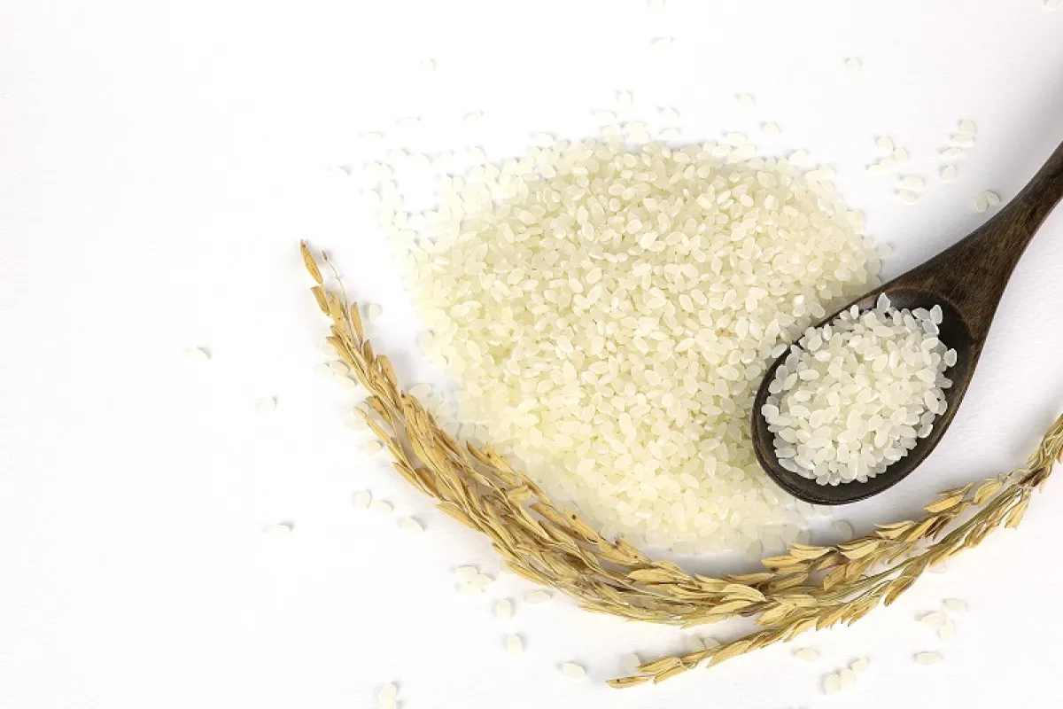 خلطات طبيعية للعناية بالشعر