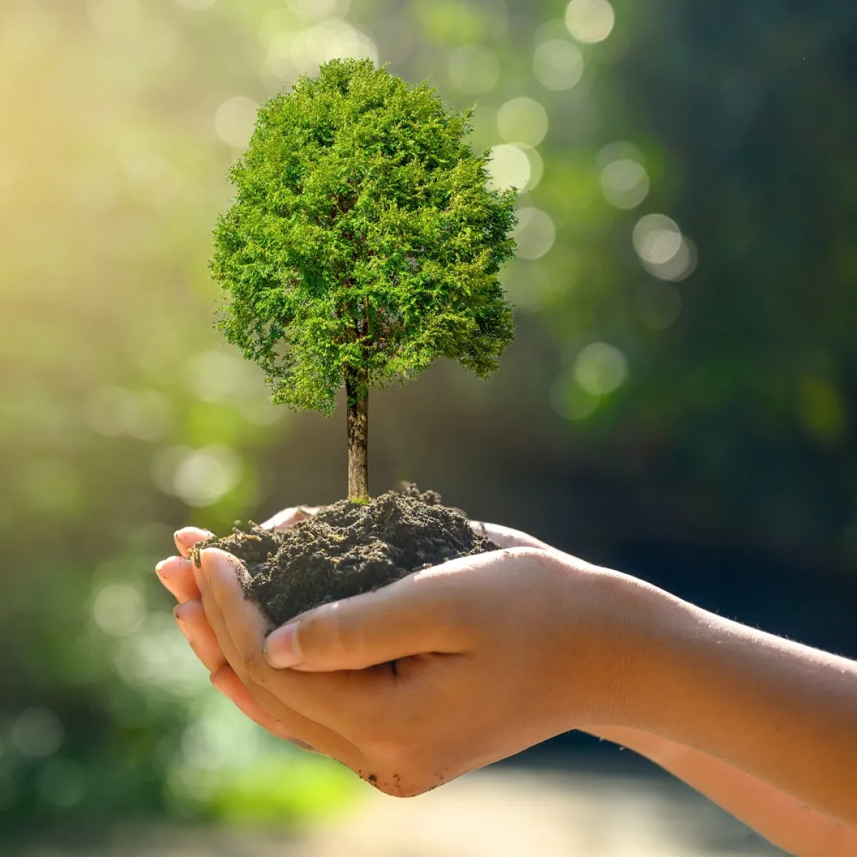 صورة تعبيرية عن المشاركة وتعلم الاستقلال