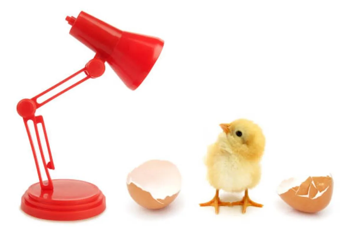 صورة تعبر عن أهمية الحضانة للطفل