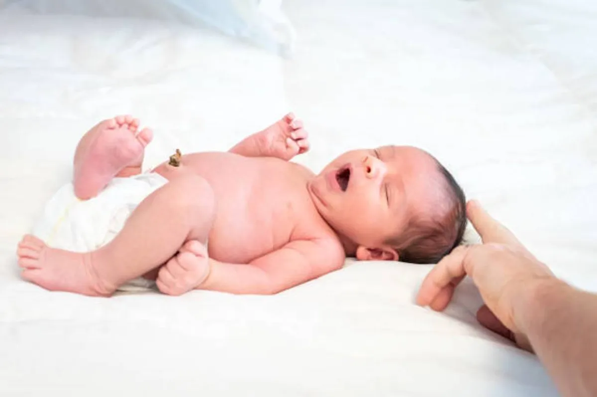 صورة لمولود حديث الولادة