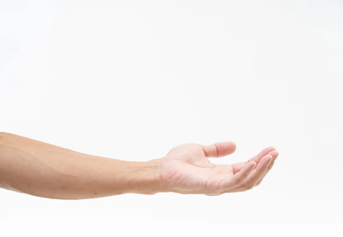 صورة لخطوط اليد