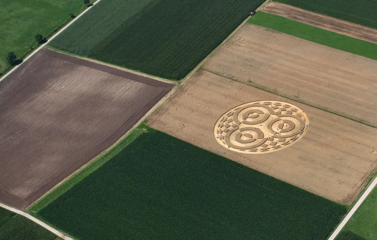 دوائر المحاصيل الزراعية 