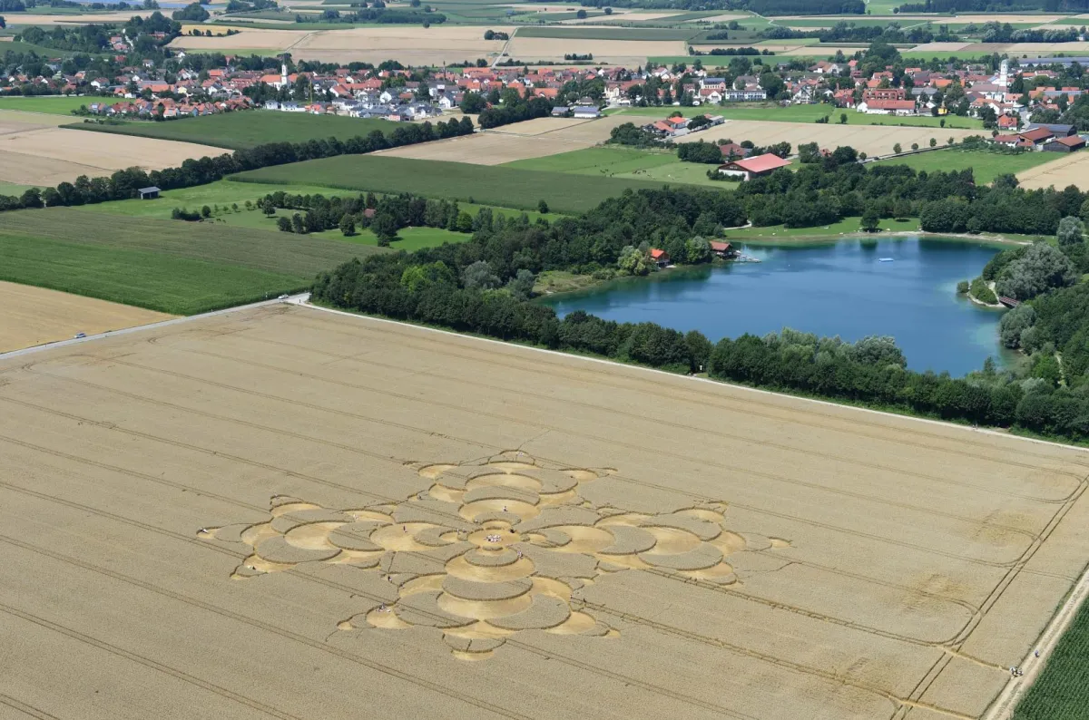 دوائر المحاصيل الزراعية 