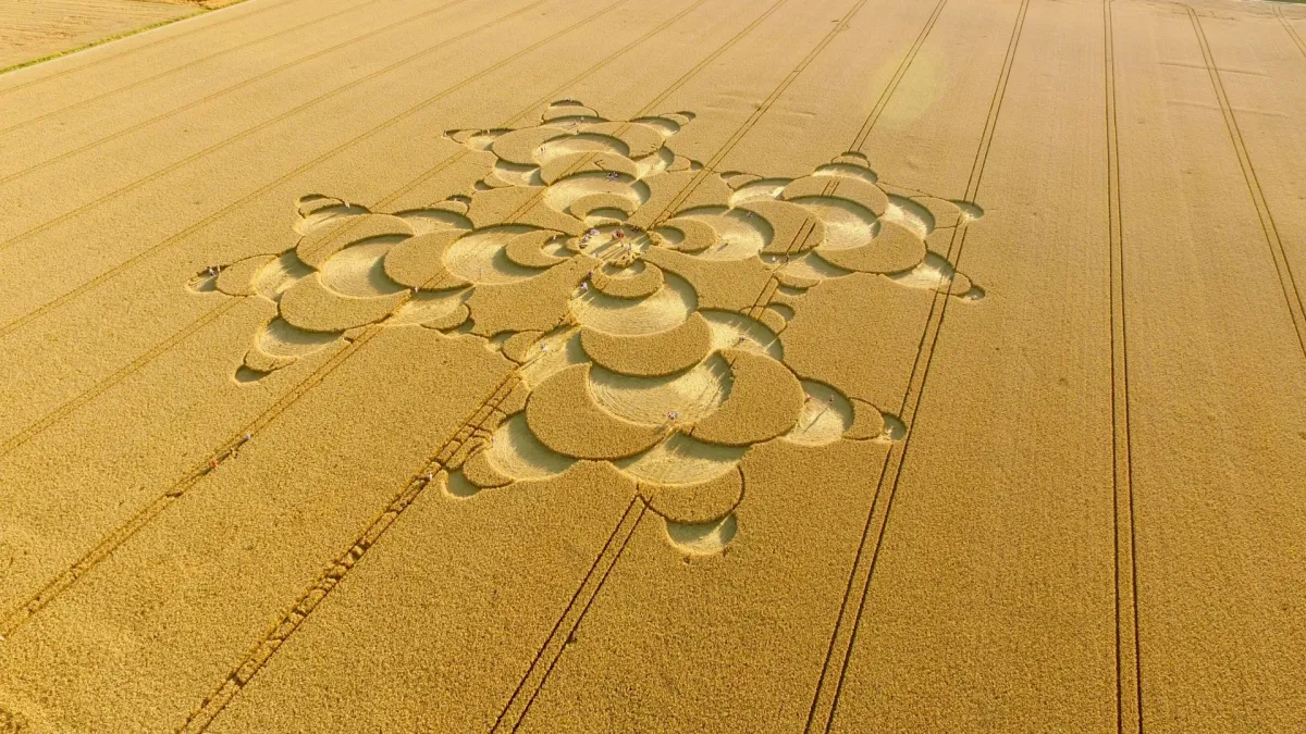 دوائر المحاصيل الزراعية 