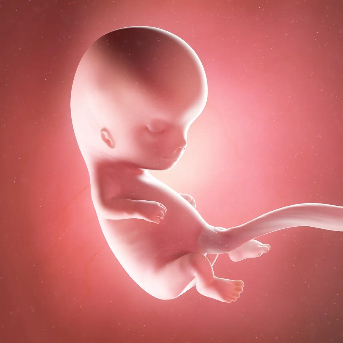 صورة تعبيرية عن الجنين في رحم الأم