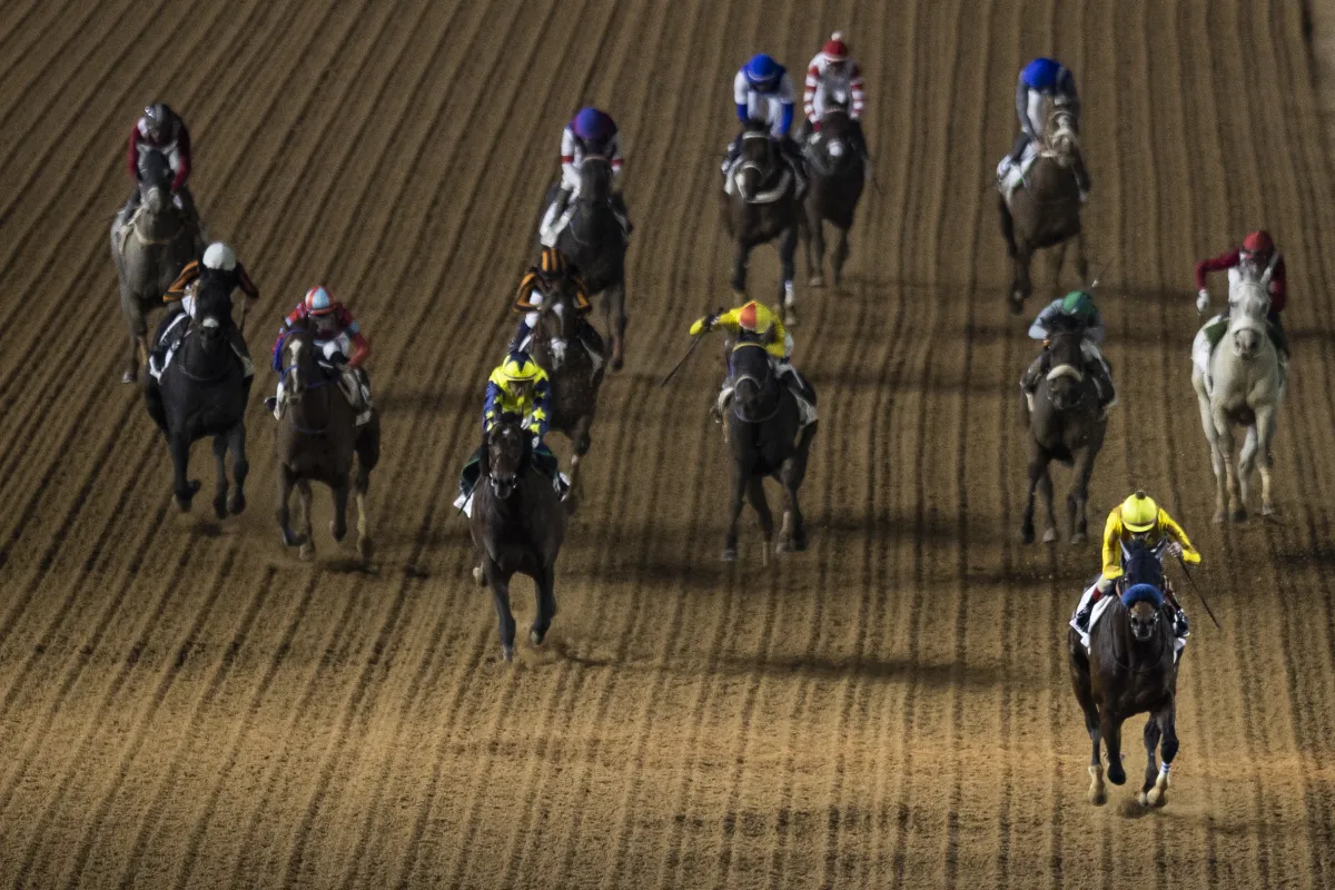 من كأس السعودية 2022- الصورة من فريق العلاقات العامة لنادي سباقات الخيل