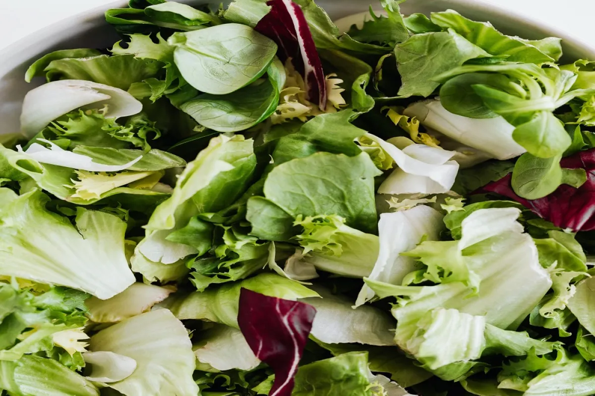 جرّبي أنواعاً مختلفة من السلطة الخضراء (المصدر: pexels )