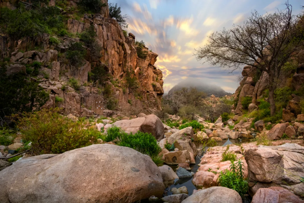 أجمل الأماكن السياحية في مدينة الطائف الجاذبة للعوائل