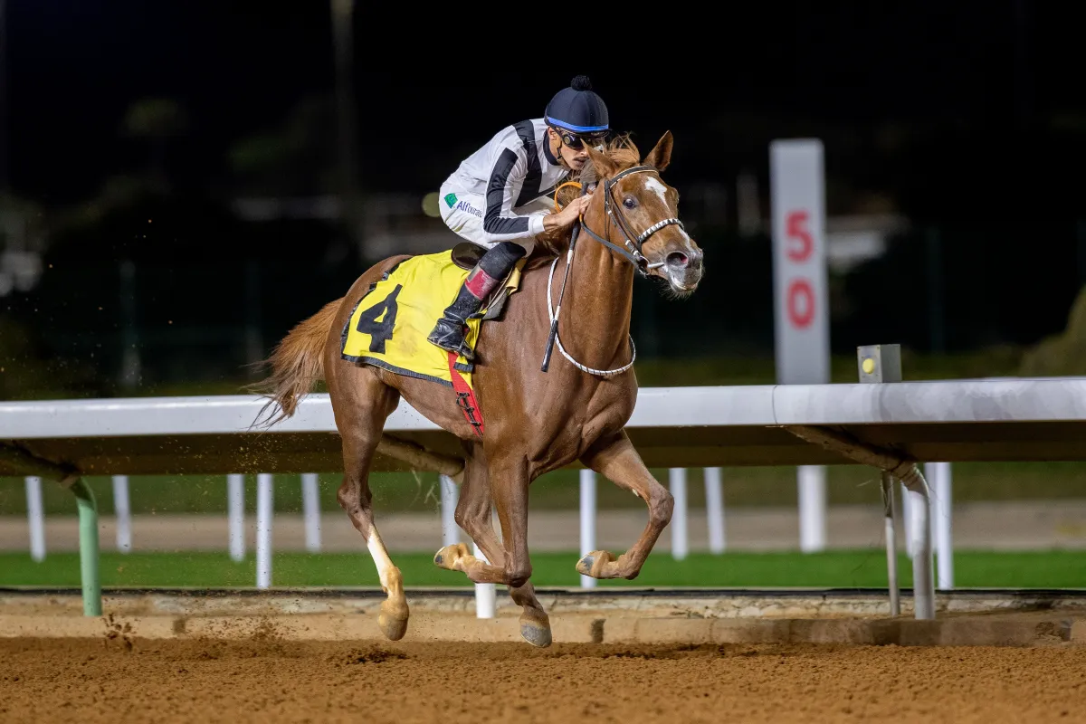 بنت غالية الخالدية  لإسطبلات الخالدية، لحظة الفوز – الصورة من المركز الإعلامي لنادي سباقات الخيل