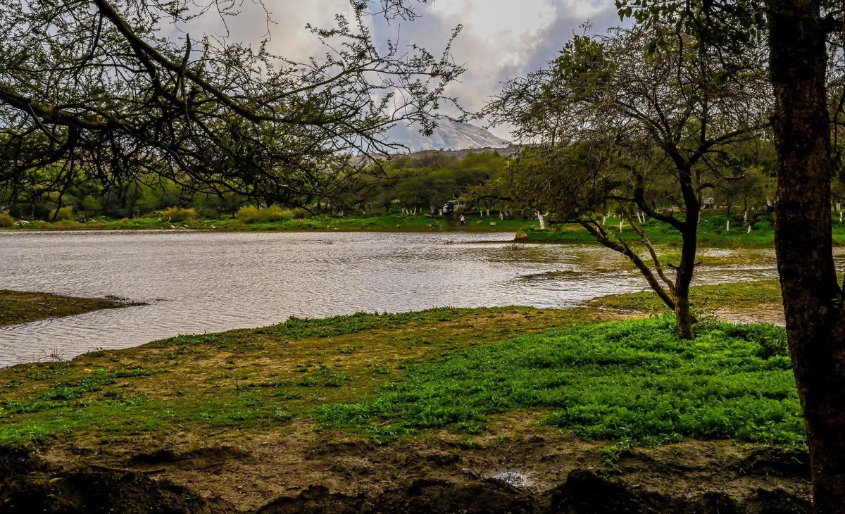 منطقة الباحة