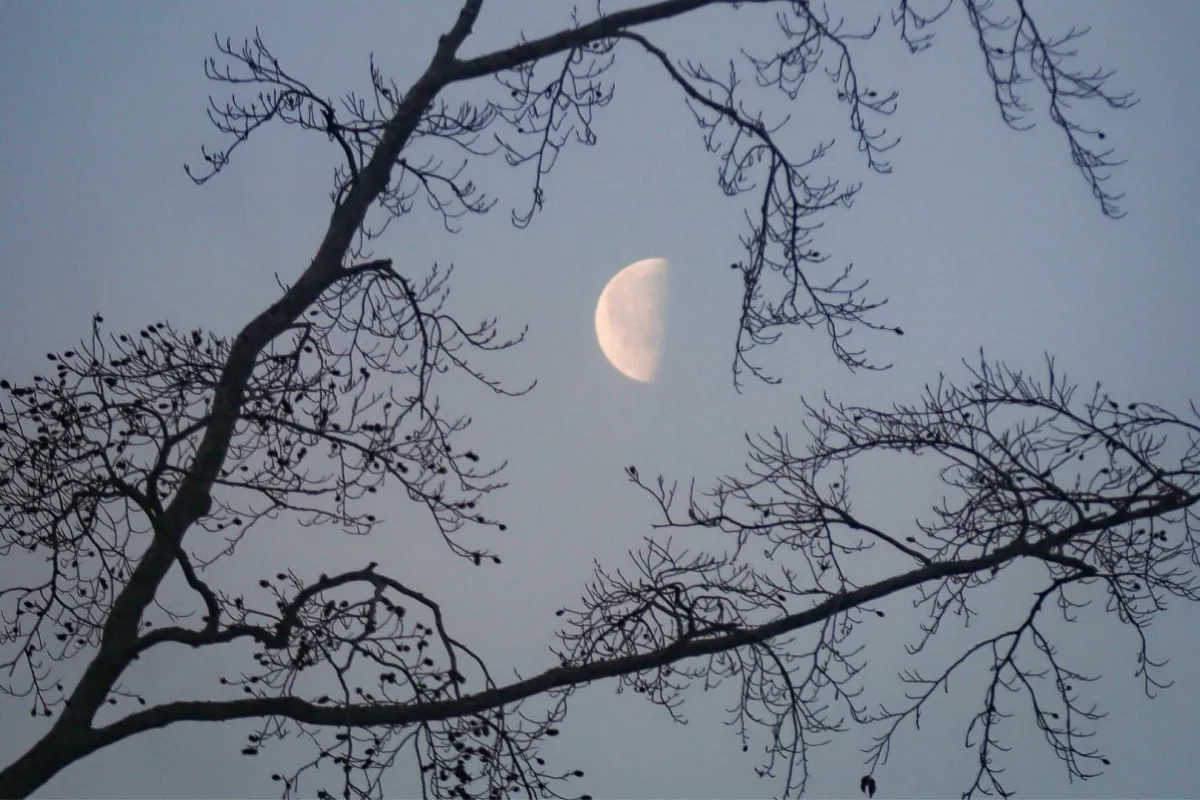 هلال الأشهر الحرم