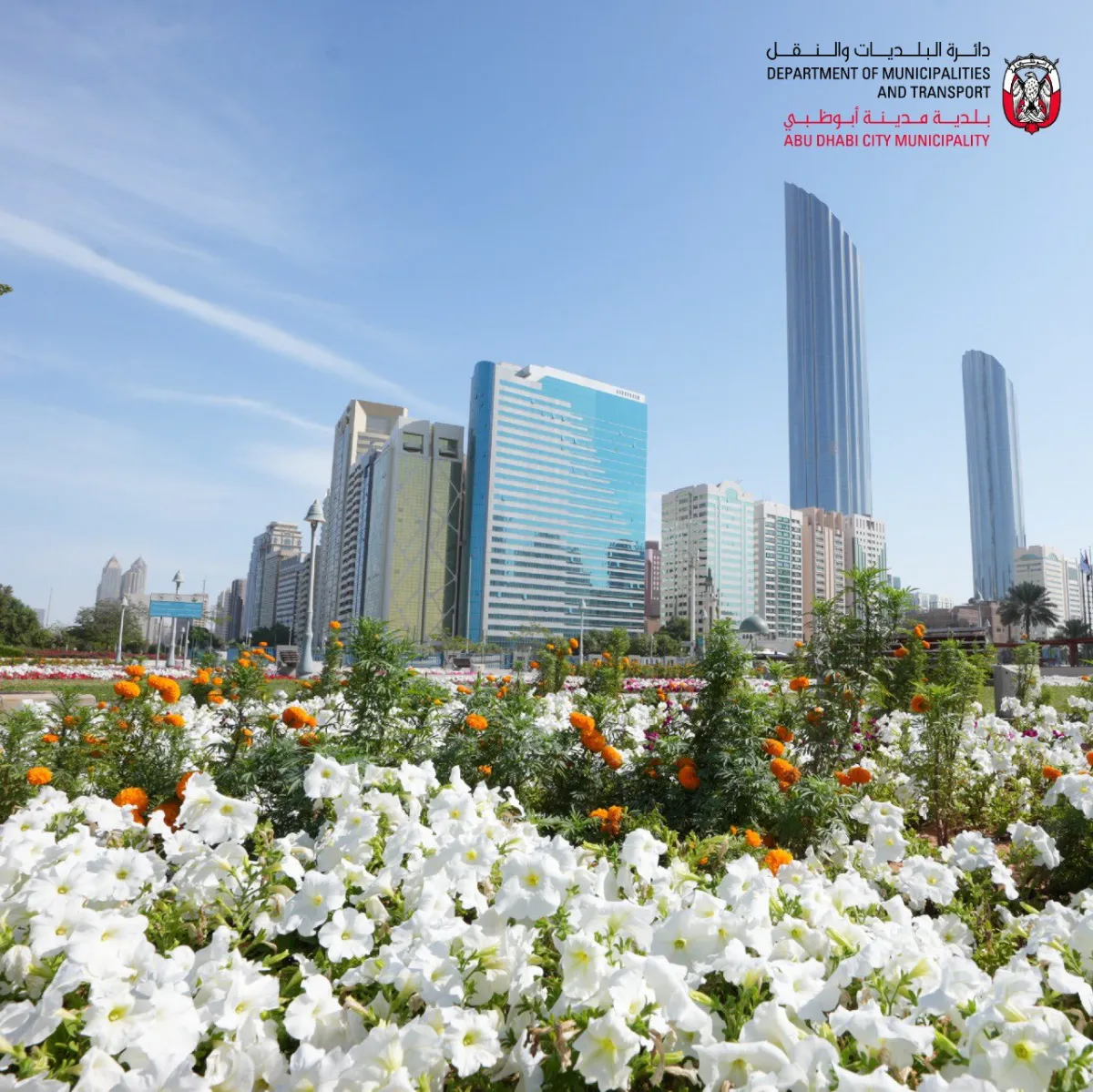  بلدية مدينة أبوظبي تحرص على تشكيل وتوزيع الزهور