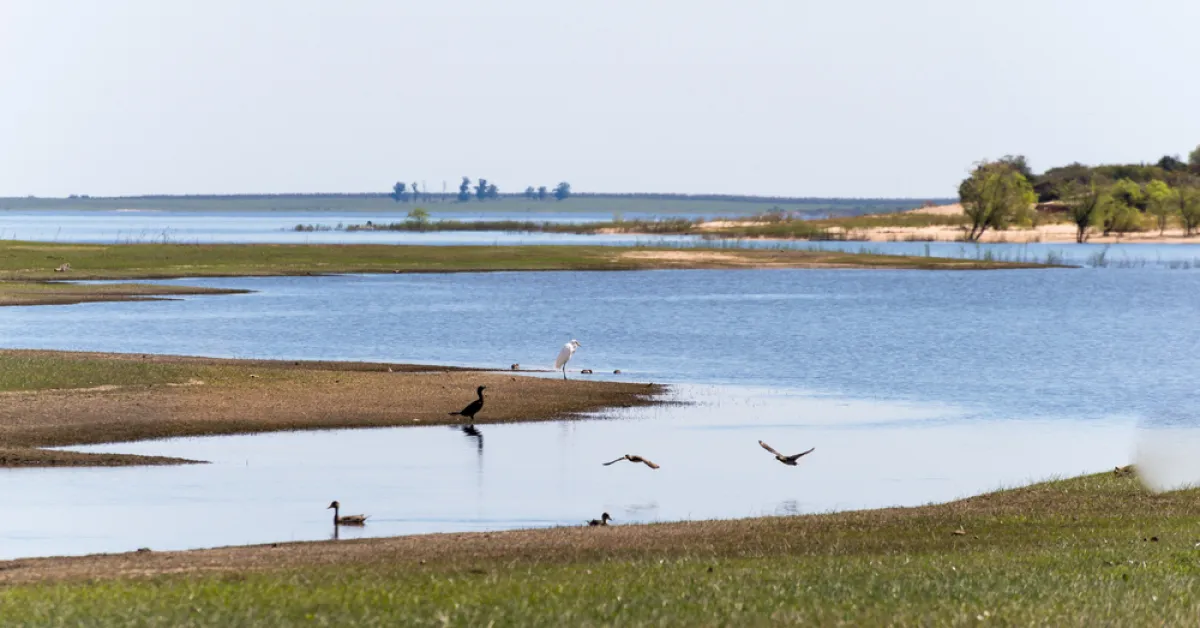 مدينة تاكواريمبو 