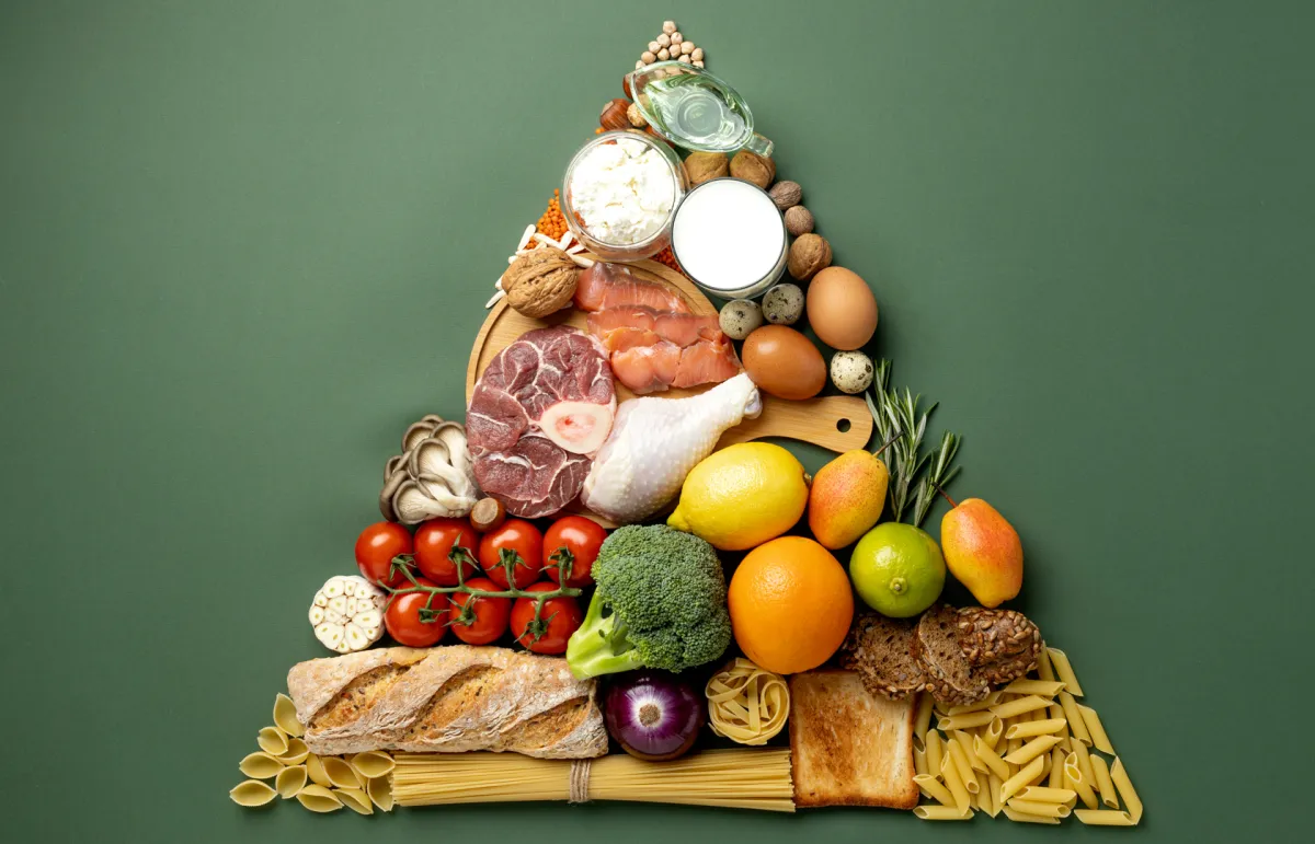 الهرم الغذائي ومكوناته