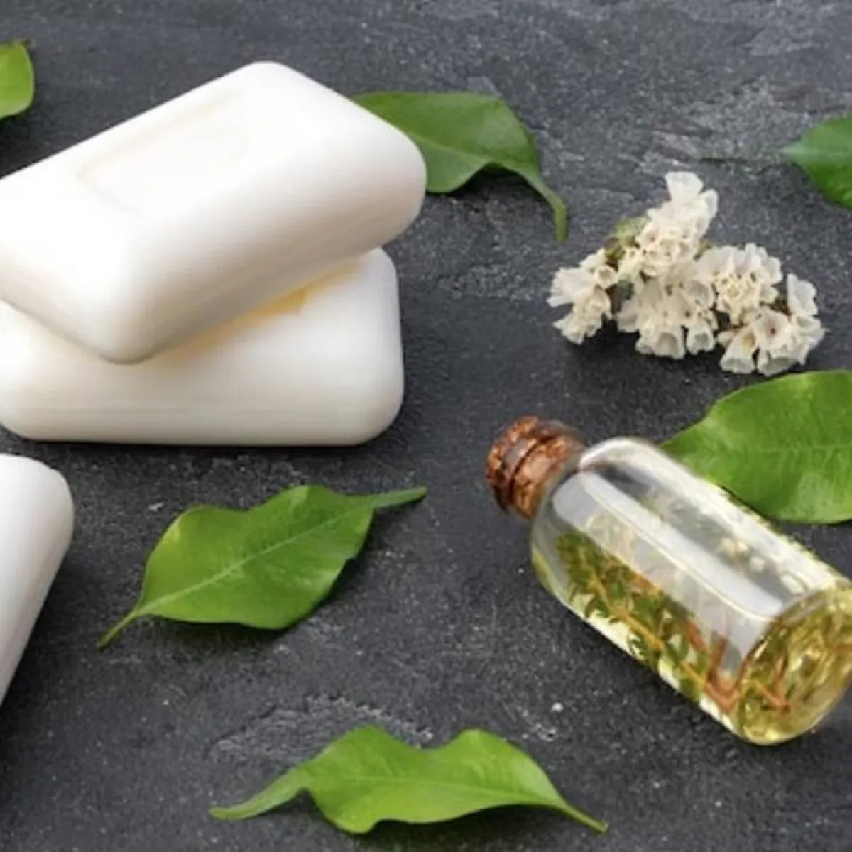 صورة لمنتجات من ورق الغار