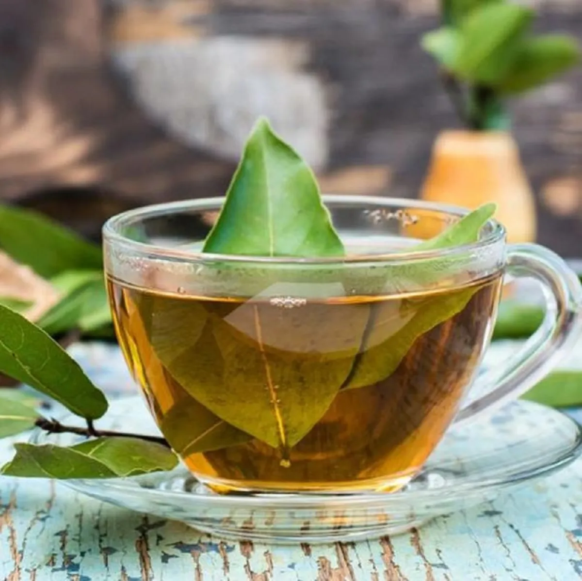 صورة لفنجان من منقوع ورق الغار