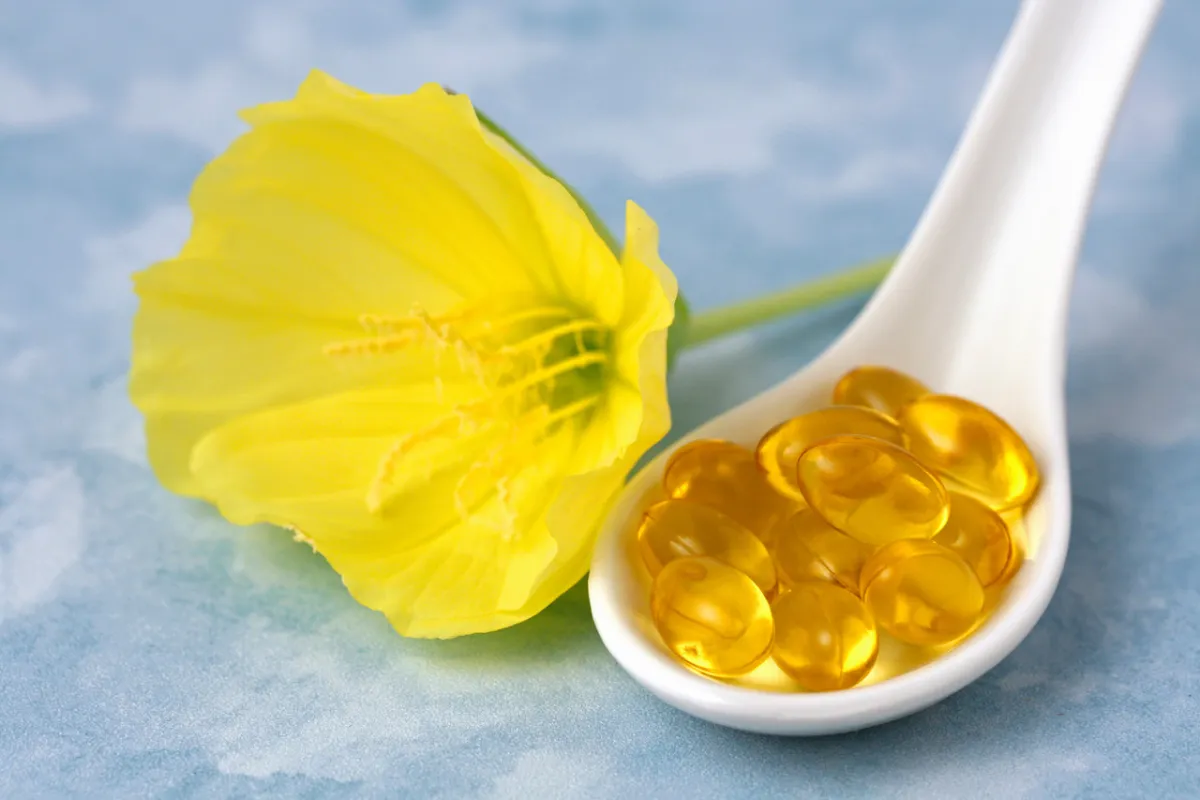 صورة لعشبة زهرة الربيع