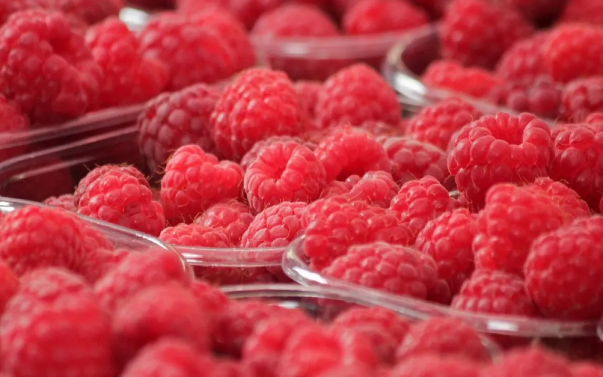 التوت الأحمر خيار أمثل لإنقاص الوزن (المصدر: Adobe.stock)