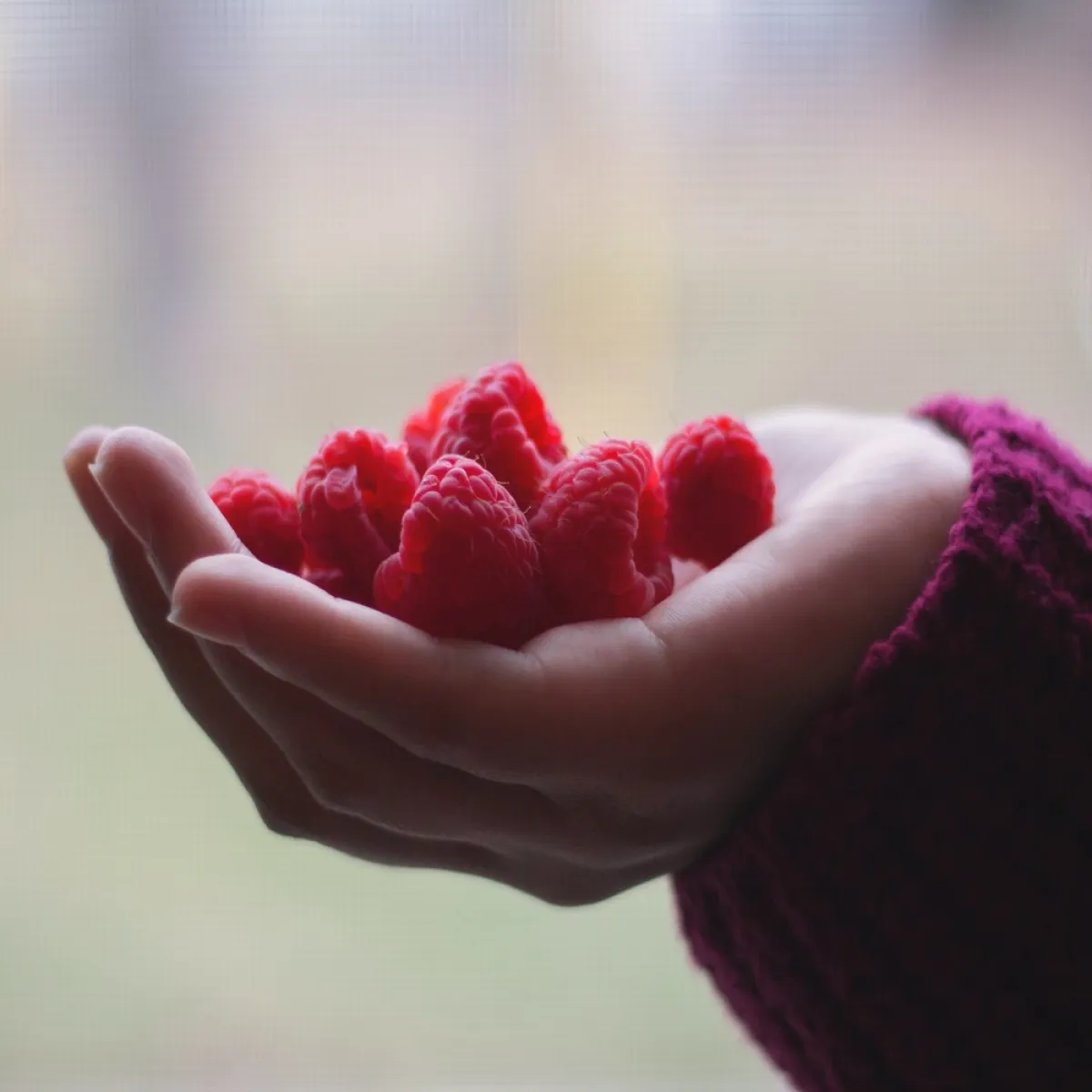 فوائد التوت الأحمر للرجيم مثبتة علمياً(المصدر: pexels)