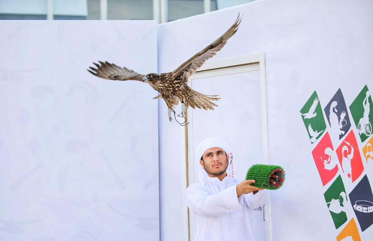 منافسات الصقور- الصورة من مركز حمدان بن محمد لإحياء التراث