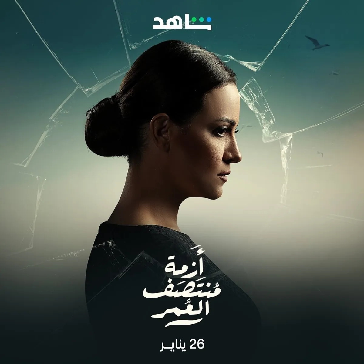 ريهام عبد الغفور على الملصق الدعائي لمسلسل  " أزمة منتصف العمر" - صورة من صفحتها على انستغرام