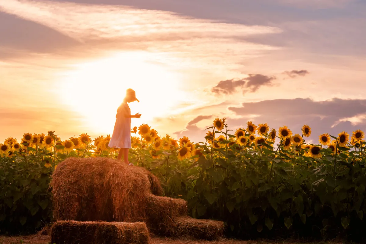 صورة لفتاة تحت الشمس