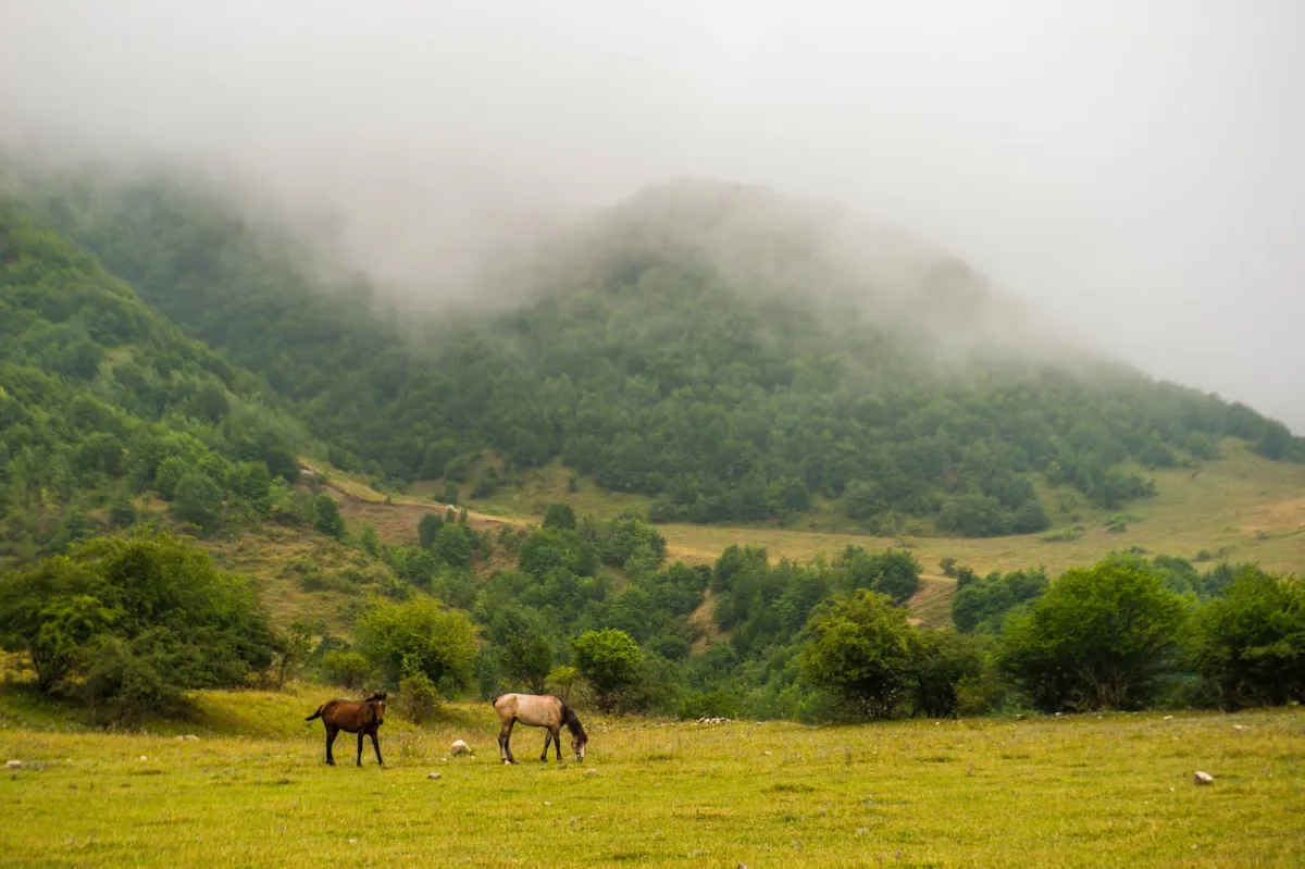 قائمة أطول المخلوقات عمراً في العالم