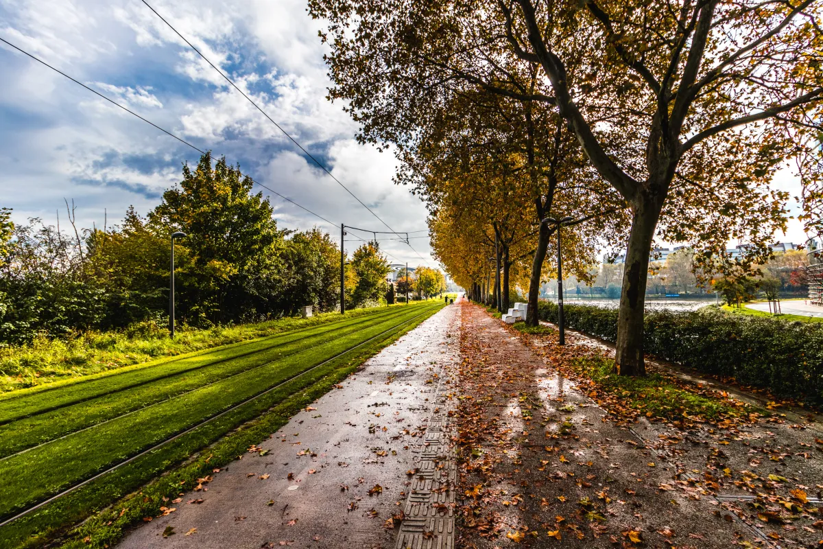 معلومات أساسية زيارة ستراسبورغ