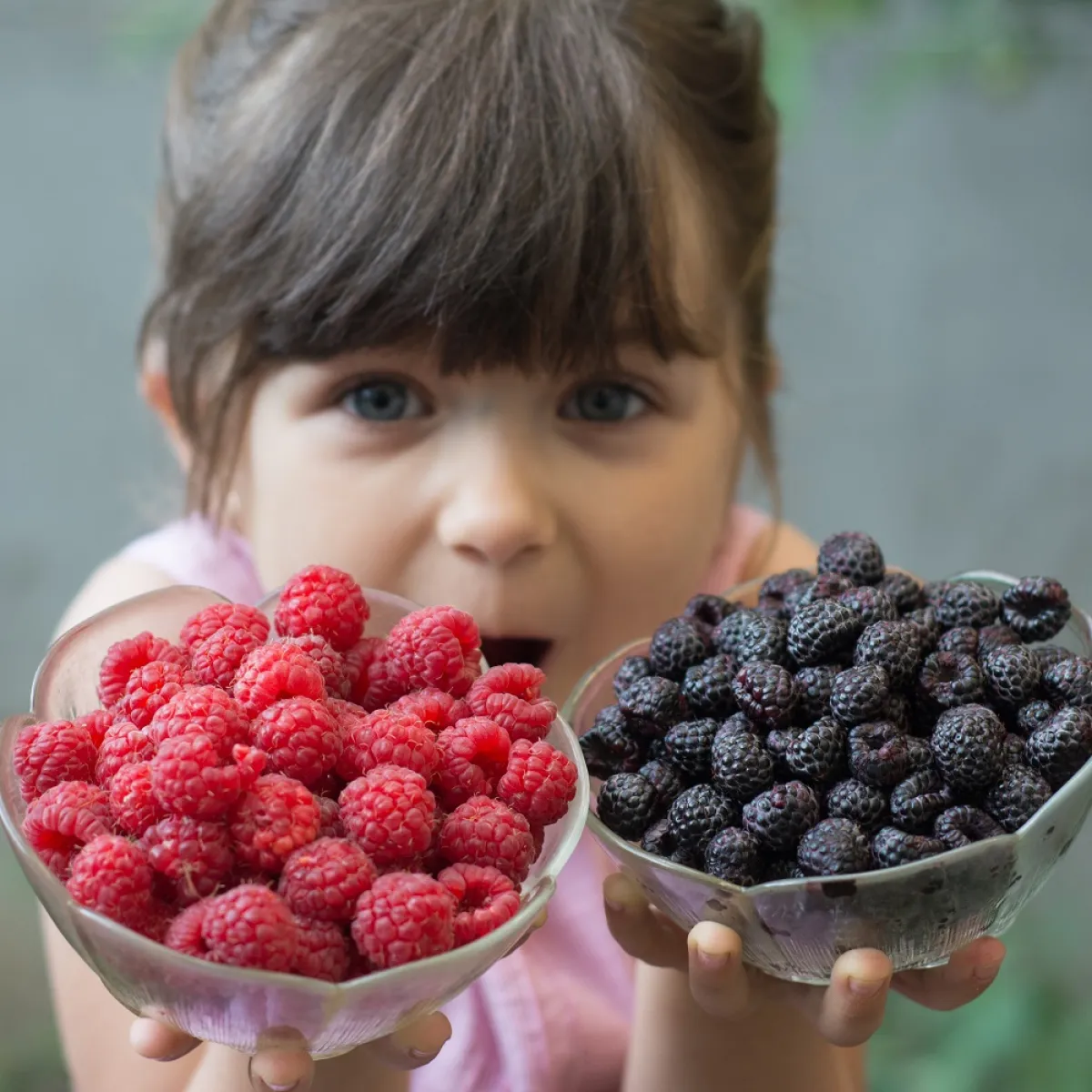 صورة لطفلة تحمل طبقين من الفاكهة