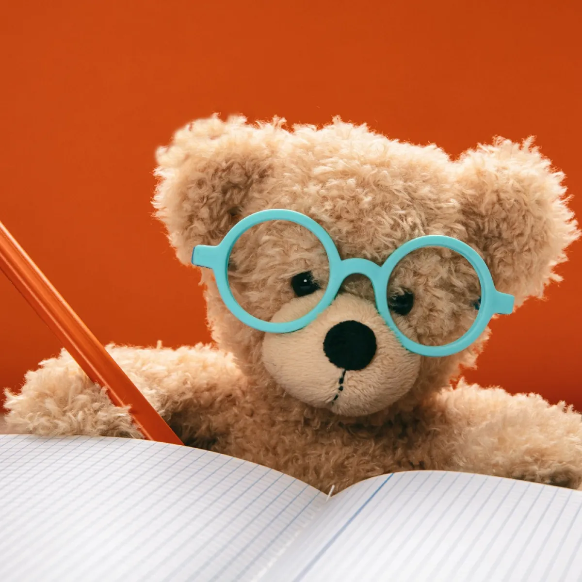 صورة تعبيرية عن استقلالية التعليم