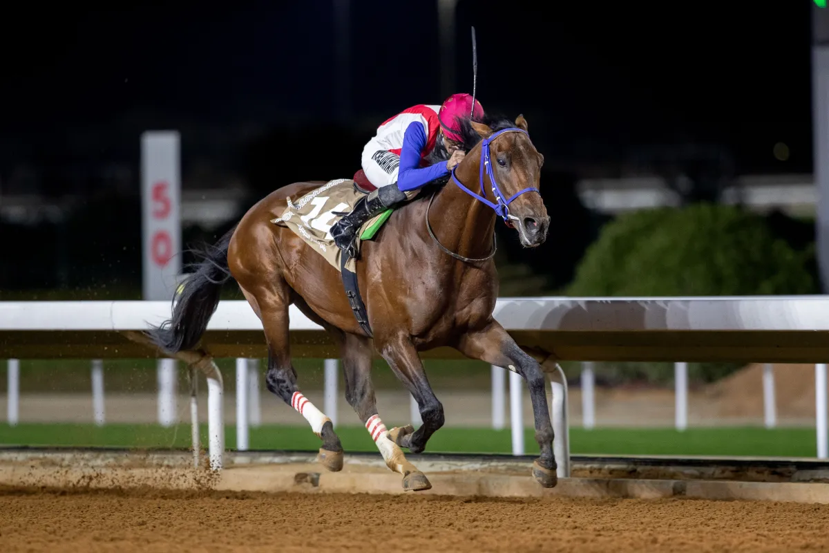 نظم السباق في ميدان الملك عبدالعزيز بالجنادرية. الصورة من نادي سباقات الخيل