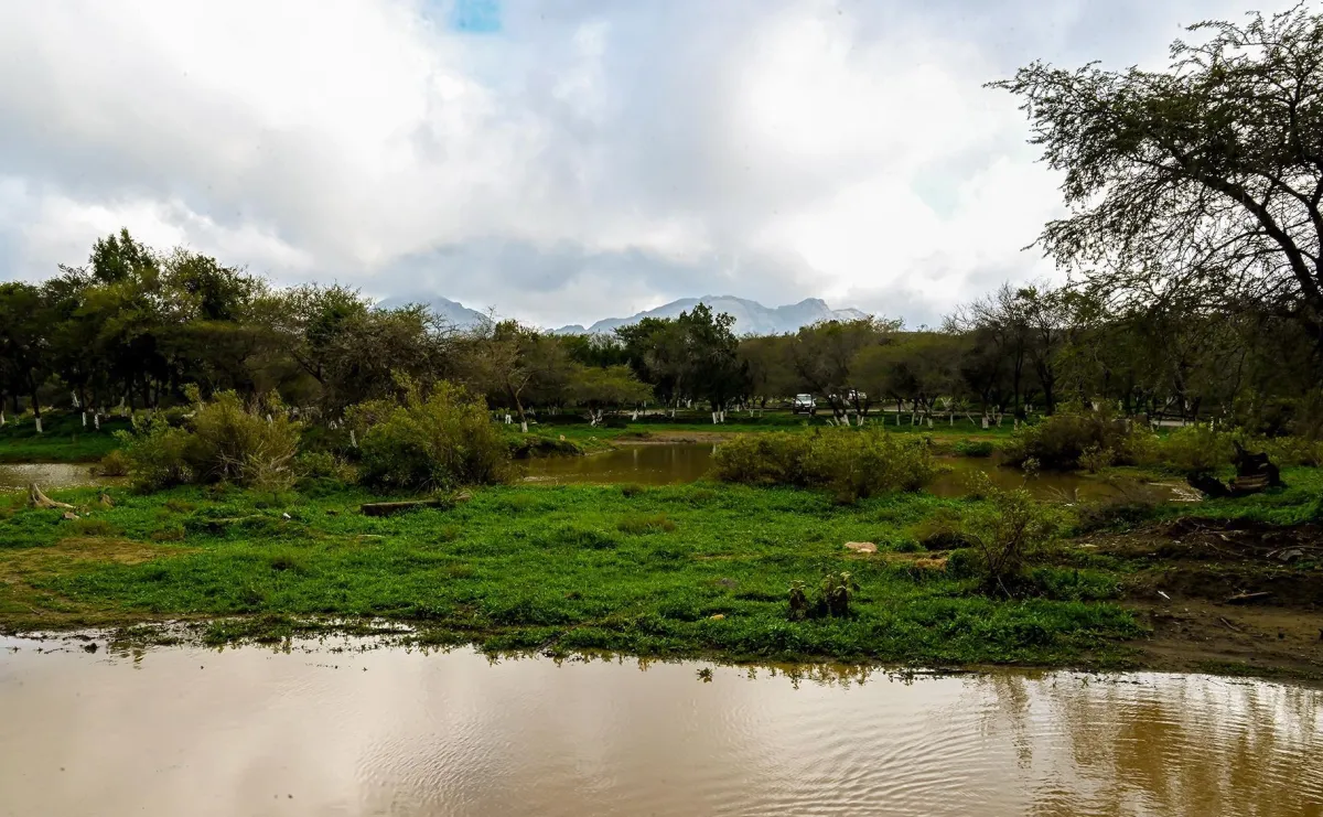 منطقة الباحة
