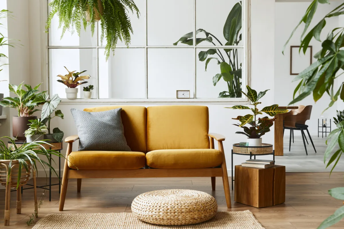 الأصفر لون جذاب 